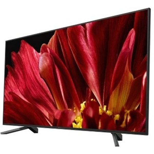 Телевизор SONY KD-65ZF9