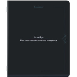 Тетради предметные BRAUBERG 405183 (КОМПЛЕКТ 12 ПРЕДМЕТОВ, 48л, SoftTouch)