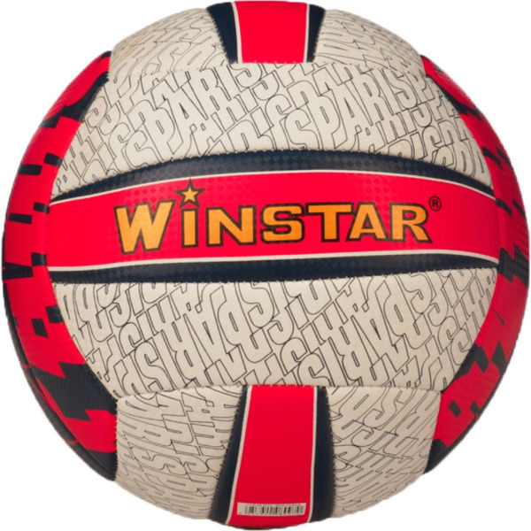 Волейбольный мяч Winstar WN11004