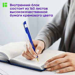 Ежедневник Berlingo Silver Pristine A5 / UD0_82503 (160л, синий)