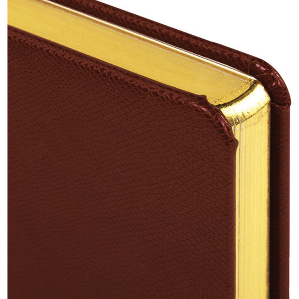 Ежедневник недатированный BRAUBERG Iguana 125090