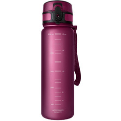 Фильтр-бутылка АКВАФОР Сити (рубин)