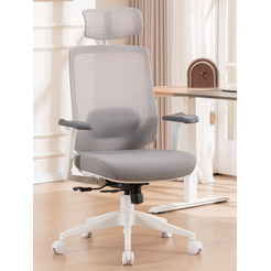 Кресло компьютерное EVOLUTION HybridFlex (белый)