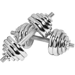 Набор гантелей Alpin DB-30