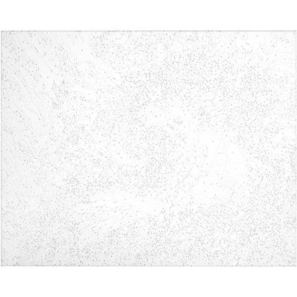 Картина по номерам ОСТРОВ СОКРОВИЩ «Весна» 663287