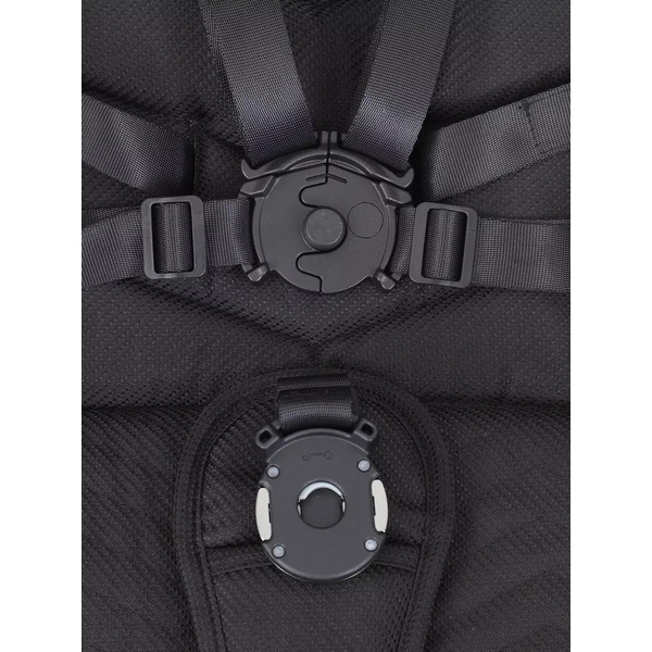 Детская универсальная коляска Rant Flex Pro 2 в 1 2023 RA074 (черный)