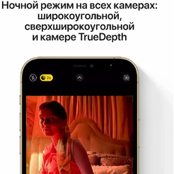Смартфон Б/У (грейд В) Apple iPhone 12 Pro 256GB Gold (2BMGMR3)