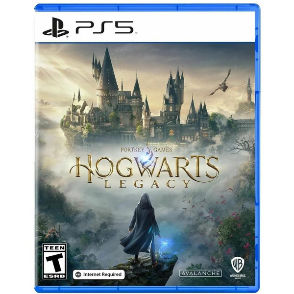 Игра Hogwarts Legacy для PlayStation 5 (русские субтитры)