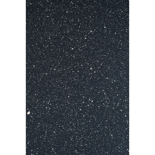 Сковорода VICTORIA АЛА 260 G0026