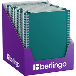 Тетрадь Berlingo Soft Touch Pro / SRn_A5931 (80л, зеленый)
