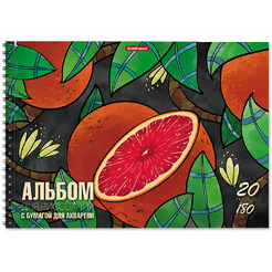Альбом для акварели Erich Krause Birds и Juicy Fruits 63893 (2х20л)