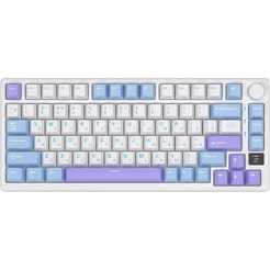 Клавиатура ROYAL KLUDGE RK-M75 Taro milk (Brown switch)