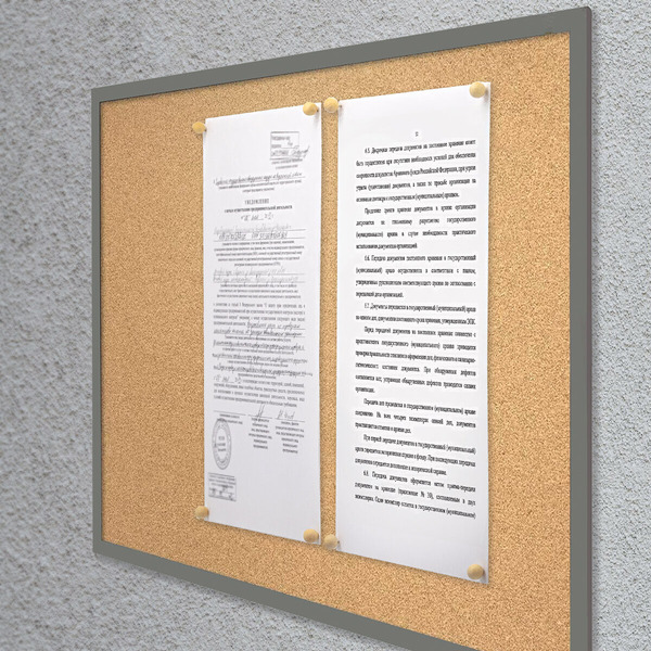 Силовые кнопки-гвоздики BRAUBERG 272761 (50 шт.)