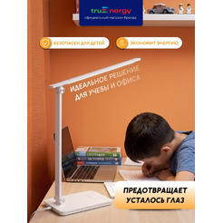 Светильник TRUENERGY TASK 29551