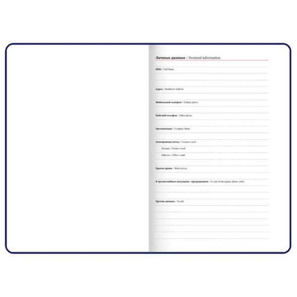 Ежедневник BRAUBERG Sirius 116211