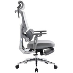 Кресло компьютерное EVOLUTION LumbarPro Elite (серый)