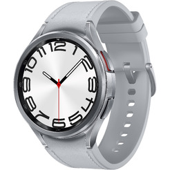 Smart-часы SAMSUNG Galaxy Watch 6 Classic 47 mm R960 (SM-R960NZSACIS) серебристый