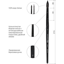 Кисть художественная профессиональная BRAUBERG Art Classic Белка 7 200913 (круглая)