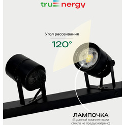 Светильник под лампу TRUENERGY FOCUS 21466