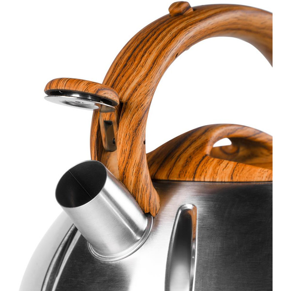 Чайник со свистком Galaxy Line GL9206