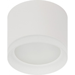 Точечный светильник ЭРА OL17 GX53 WH