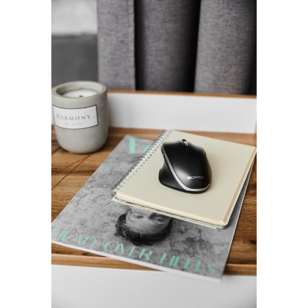 Мышь Canyon CNS-CMSW21B