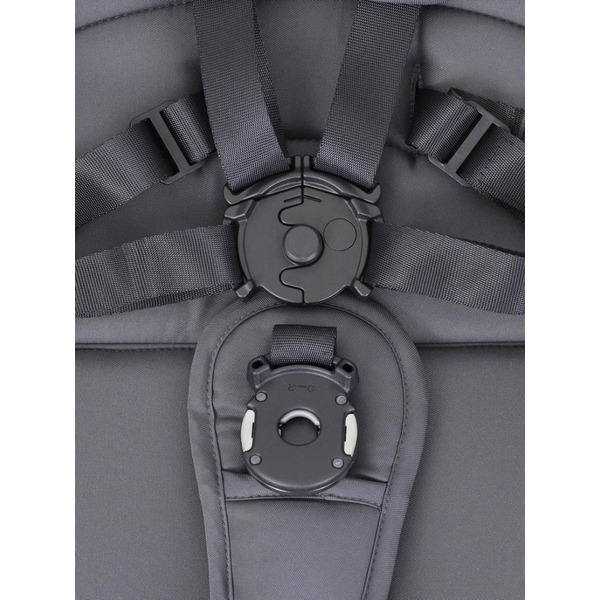 Детская универсальная коляска Rant Falcon 3 в 1 / RA098 (Graphite)