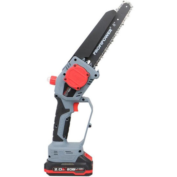 Набор инструментов Profipower ProfiSet-2D20 (воздуходувка, цепная пила)