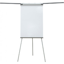 Флипчарт Cactus CS-FCT-M67x105