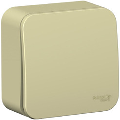 Выключатель Systeme Electric BLANCA BLNVA101017