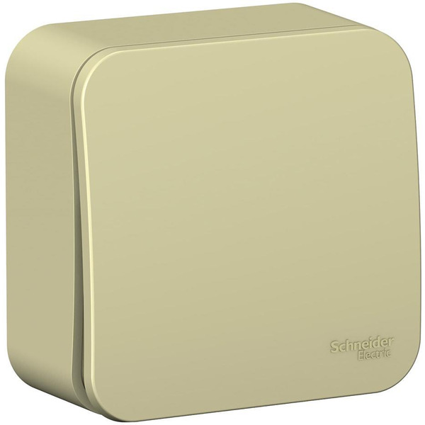 Выключатель Systeme Electric BLANCA BLNVA101017