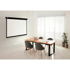 Экран Cactus CS-PSW-206X274-BK