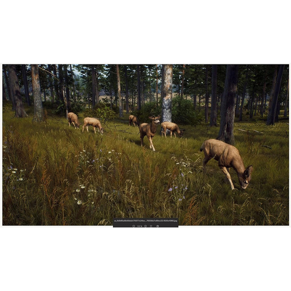 Игра Way of the Hunter для PlayStation 5