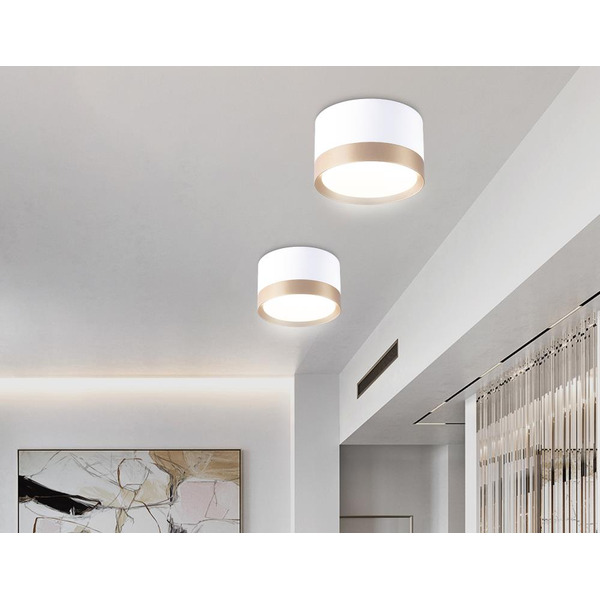 Светильник Ambrella TN52355 WH/GD (белый/золото)