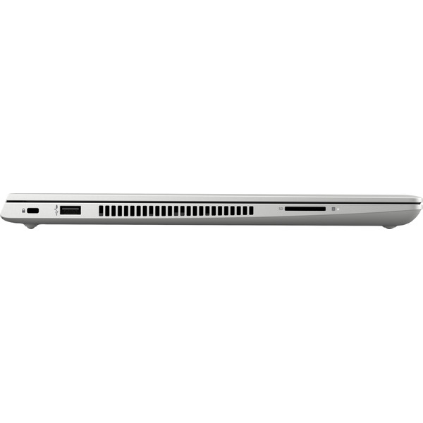 Ноутбук HP ProBook 445 G7 (7RX17AV)