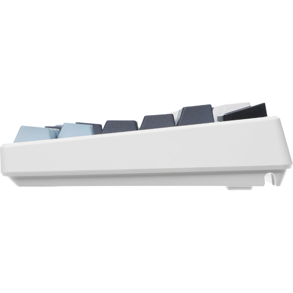 Клавиатура MSI Forge GK600 (белый/синий)