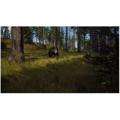 Игра Way of the Hunter для PlayStation 5
