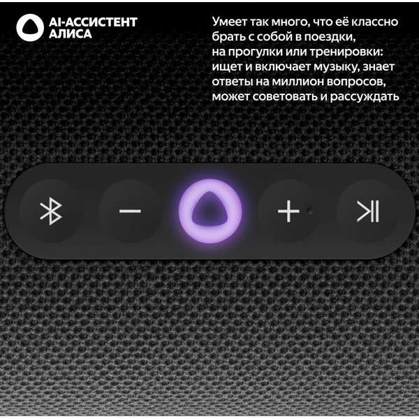 Портативная Умная колонка Яндекс.Станция Стрит YNDX-00030BLK (черный)