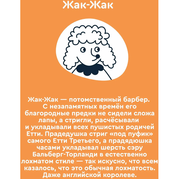 Мягкая игрушка Junion Пудель Жак-Жак из Плюшвиля AKGY0409M