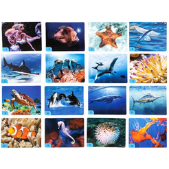 Настольная игра Десятое королевство Мемо. Водный мир 4987