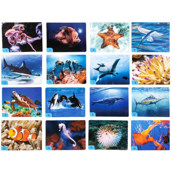 Настольная игра Десятое королевство Мемо. Водный мир 4987