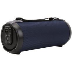 Беспроводная колонка Telefunken TF-PS1243B (темно-синий)