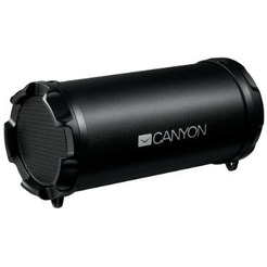 Портативная колонка Canyon CNE-CBTSP5
