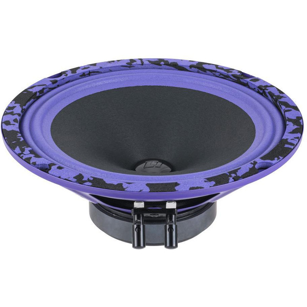 Автоакустика DL Audio Piranha 200 V.2