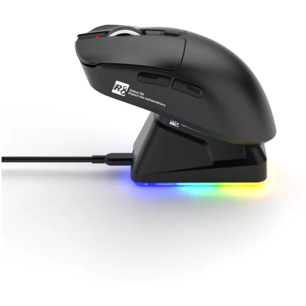 Игровая мышь R8 G313 6D Wired&2.4G&BT Rechargeable Gaming (черный)