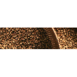 Кофе в зернах Lavazza Qualita Oro INT 500г