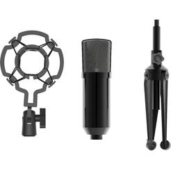 Микрофон Ritmix RDM-160