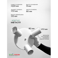 Светильник под лампу TRUENERGY MODERN 21491