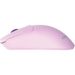 Мышь Acer OMR501 (сиреневый)