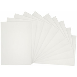 Бумага для масла и акрила BRAUBERG Art Premiere 113269